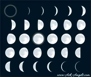 moon cycle