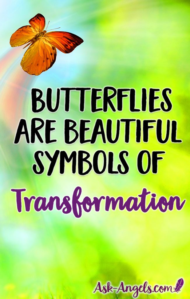 Seeing a butterfly is a beautiful sign of transformation. The life of butterflies is so symbolic of our own spiritual journey... Plus seeing their bright wings and light energy fluttering in nature has a way of bringing a smile and warming our spirit. Learn more about the meaning and symbolism now!