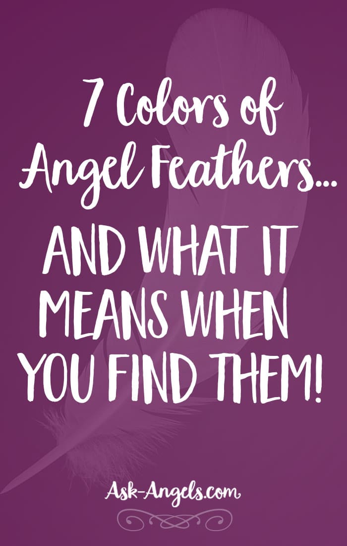 7 Colors of Angel Feathers and What It Means When You Find Them