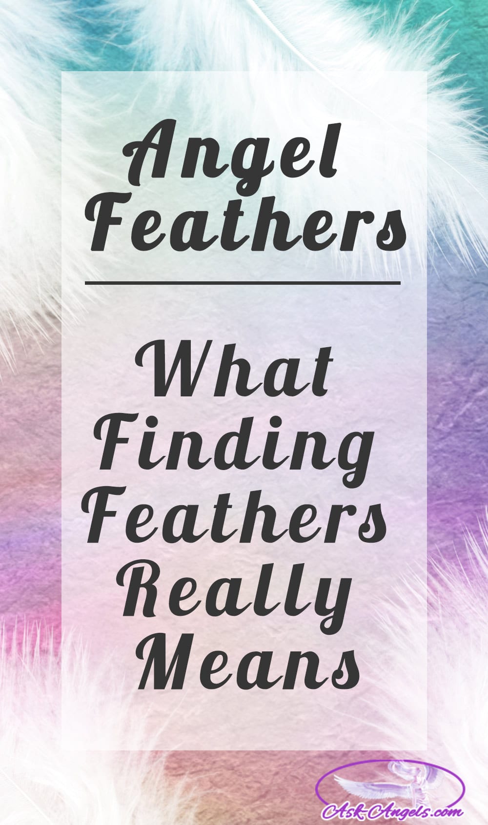 Learn Angel Feather Meanings What Do White Feathers Mean