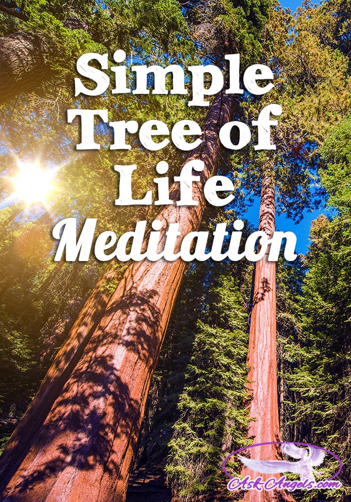 Tree of Life Meditation