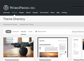 WordPress Themes