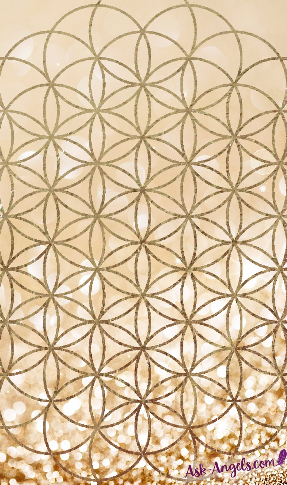 Flower of Life Meditation