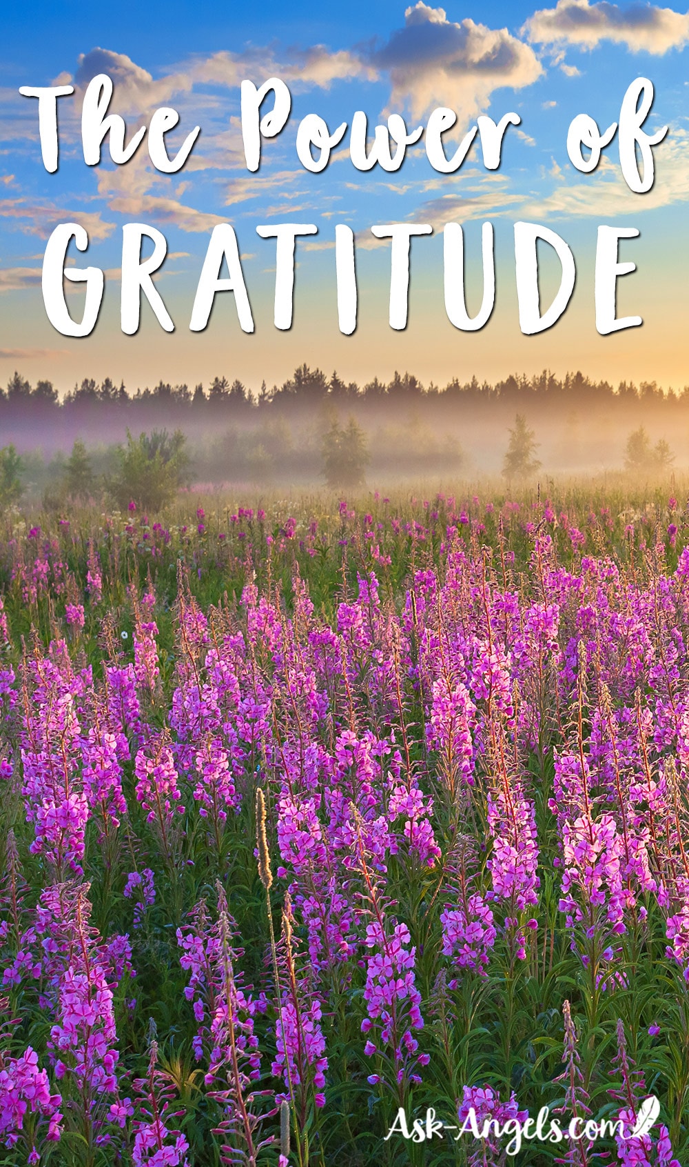 The Power of Gratitude