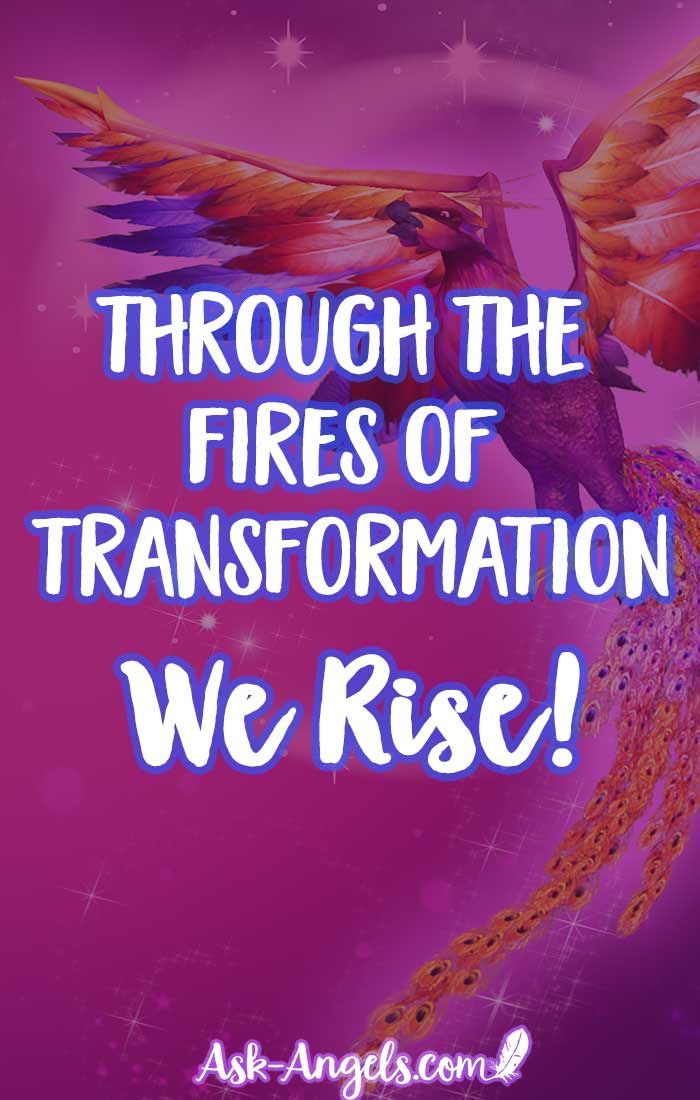 Through the fires of transformation we rise into the higher levels of our embodiment, authenticity, and light.