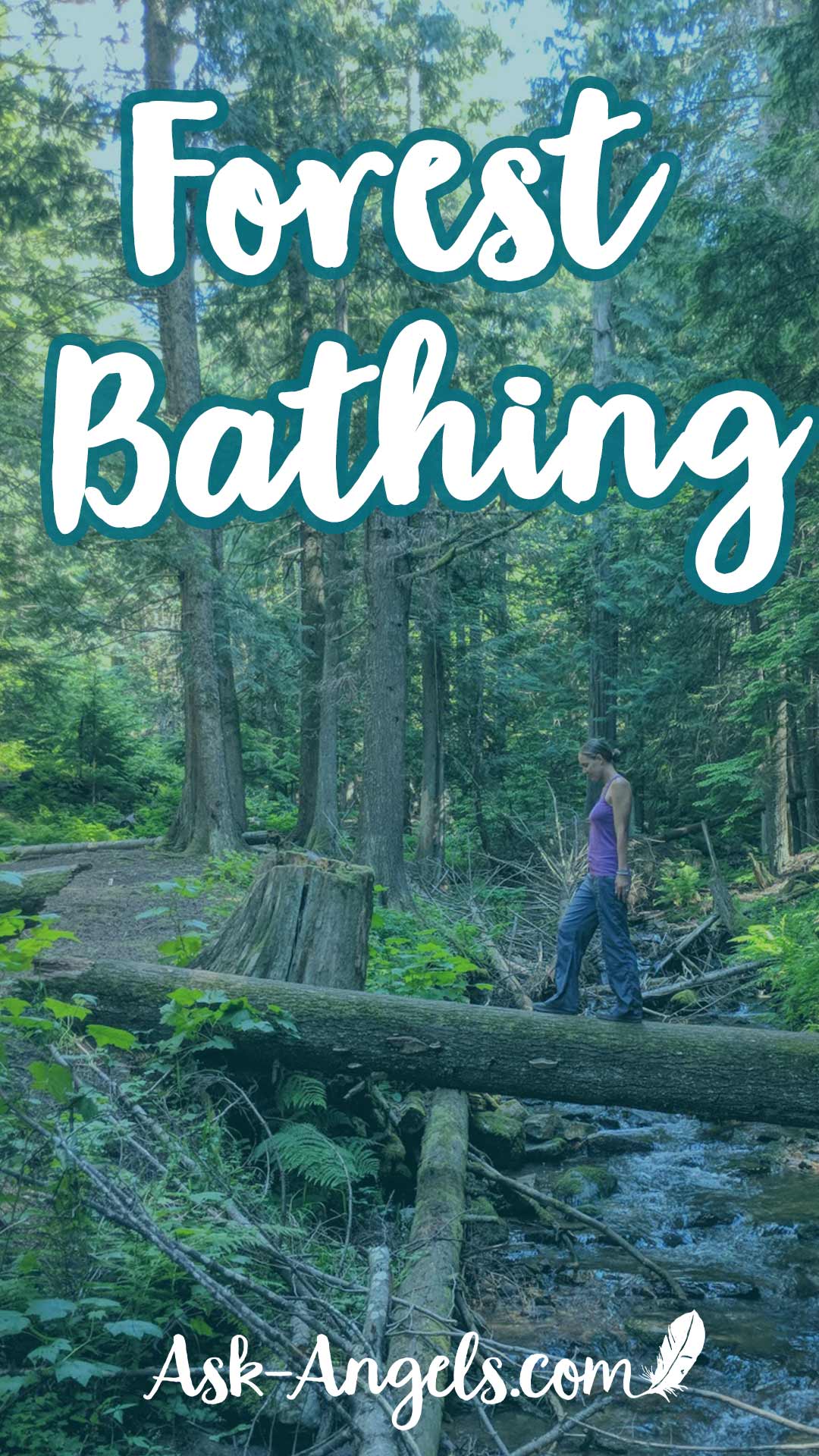 Forest Bathing – A Powerful Energetic Reset!