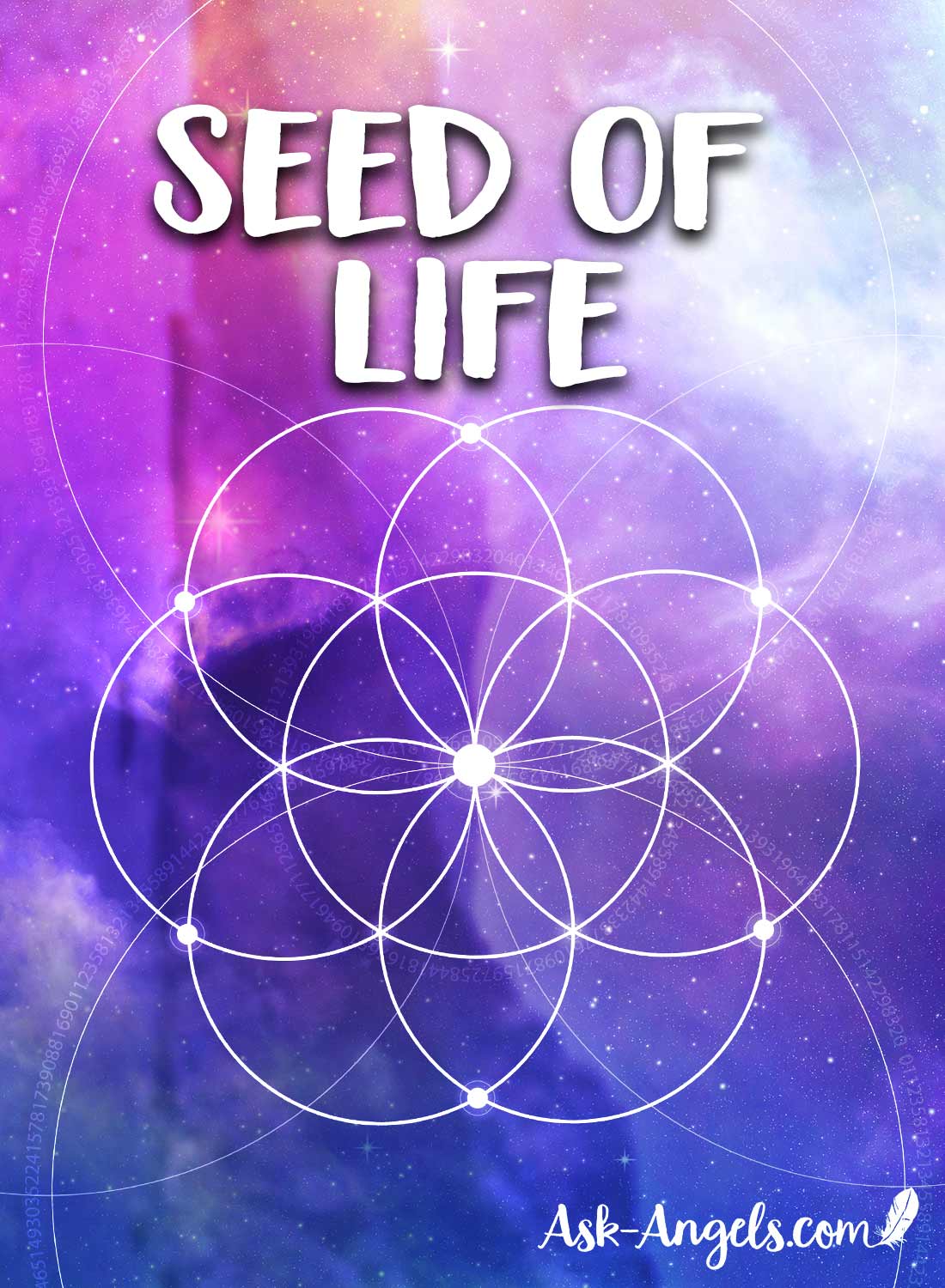 Seed of Life