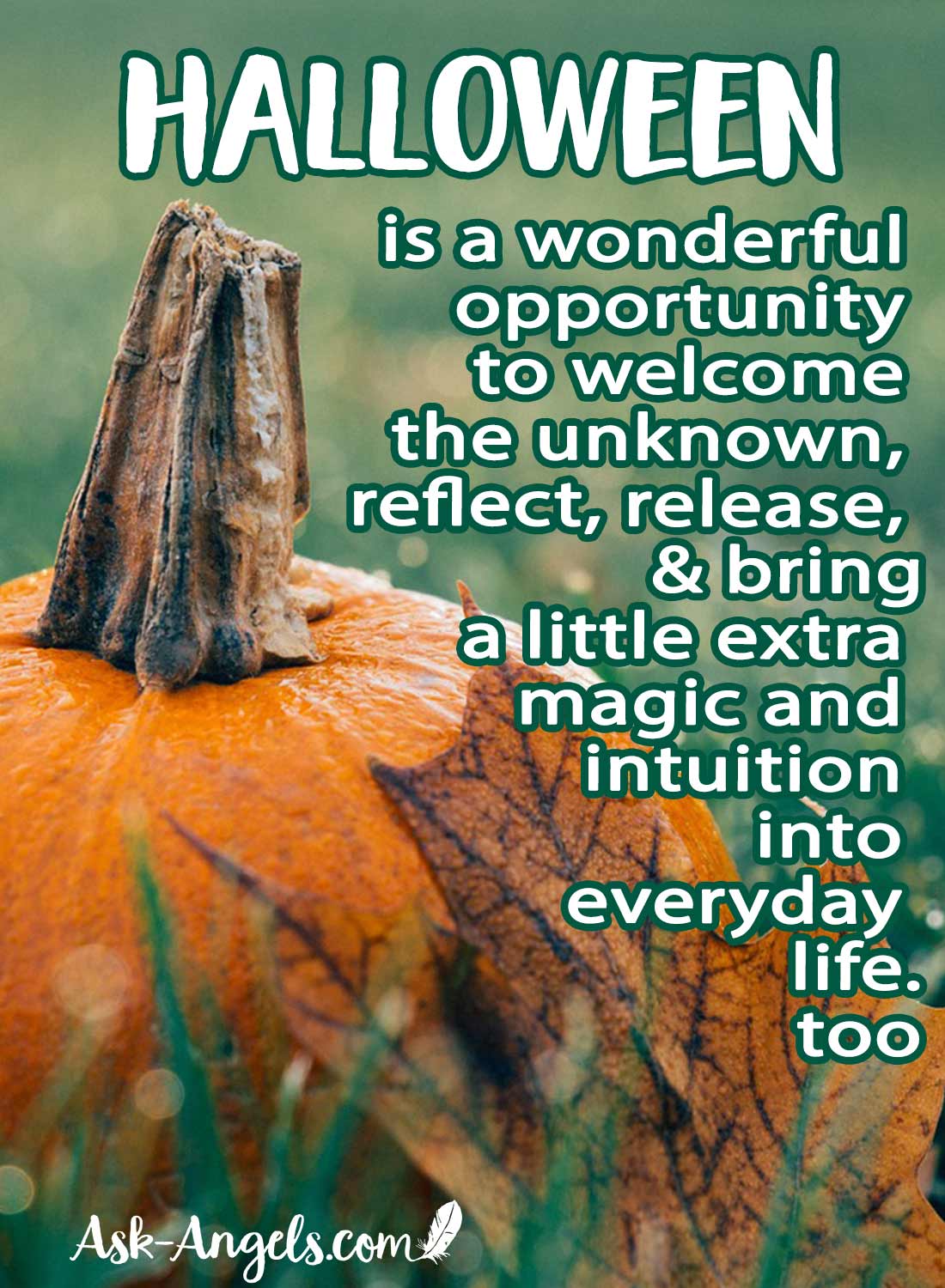 Halloween as a great opportunity to welcome the unknown, reflect, release, and bring a little extra magic and intuition into everyday life.