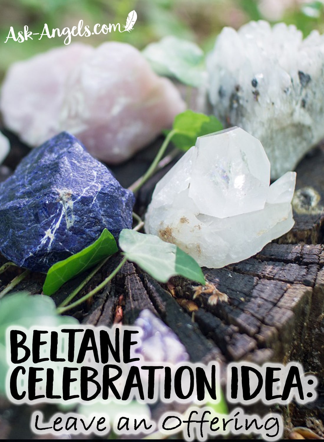 Beltane Celebration Idea - Leave an Offering for the Faeries or for Nature