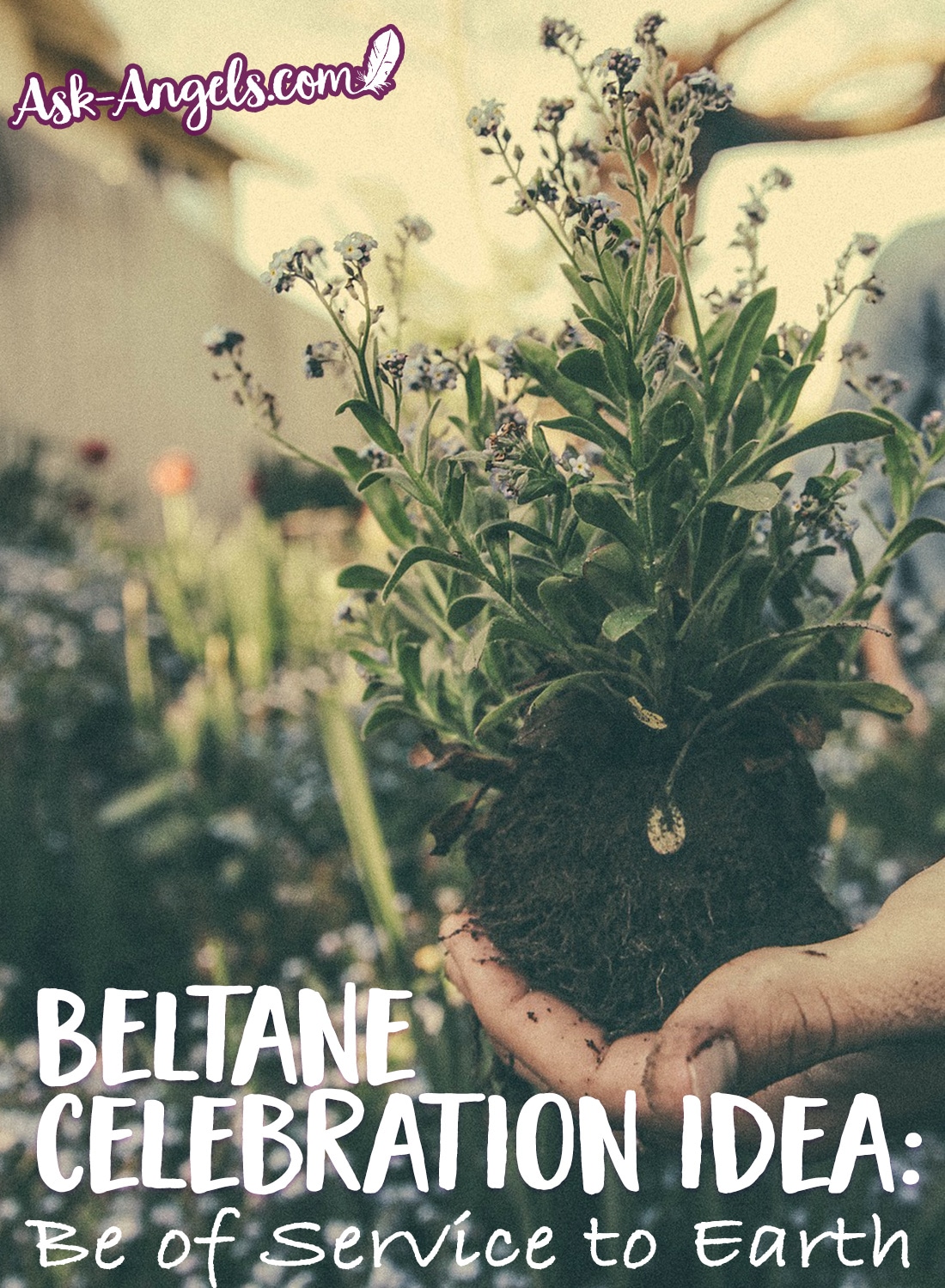 Beltane Celebration Idea - Be of Service to the Earth
