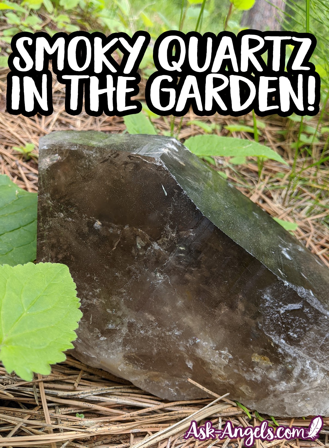 Smoky Quartz In the Garden