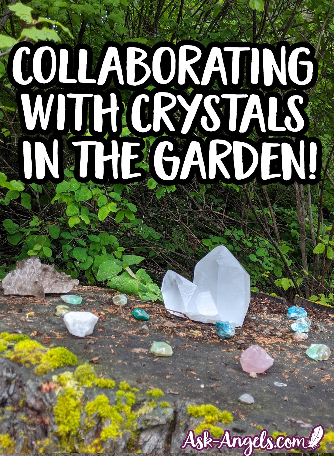 Collaborating with Crystals in the Garden