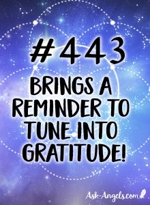 Angel Number 443 Meaning - A reminder to tune into gratitude now.