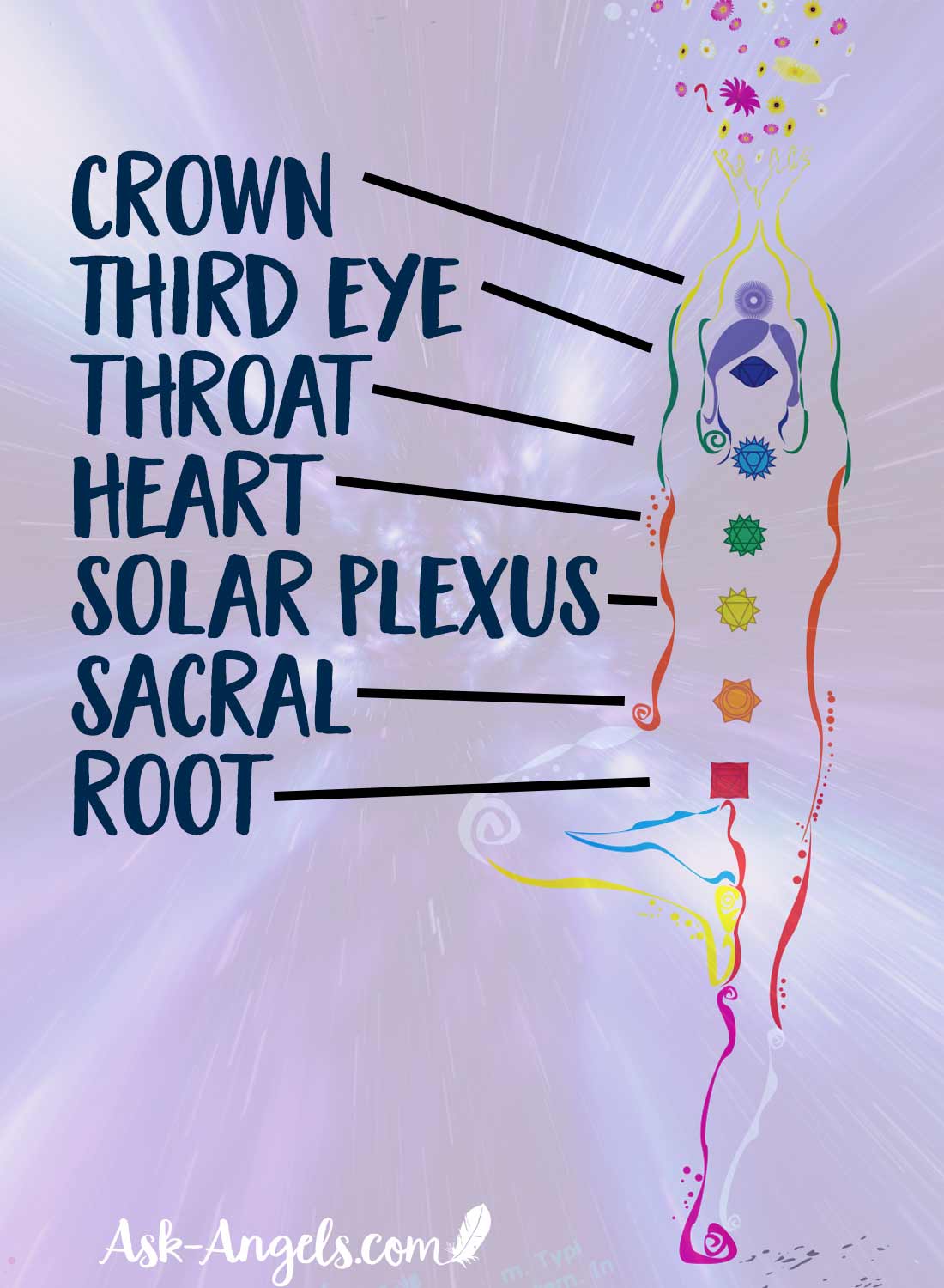 The 7 Chakras Within the Physical Body
